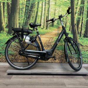 Gazelle Grenoble C7 + HMB 400 WH Zwart Mat Dames 2021-53 cm