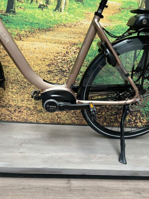 Stella Vicenza HMB 500WH Brons Dames 2023-54 cm - Afbeelding 4