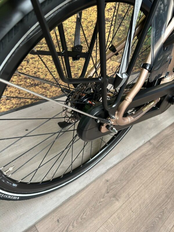 Stella Vicenza HMB 500WH Brons Dames 2023-54 cm - Afbeelding 2