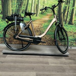 Stella Vicenza HMB 500WH Brons Dames 2023-54 cm