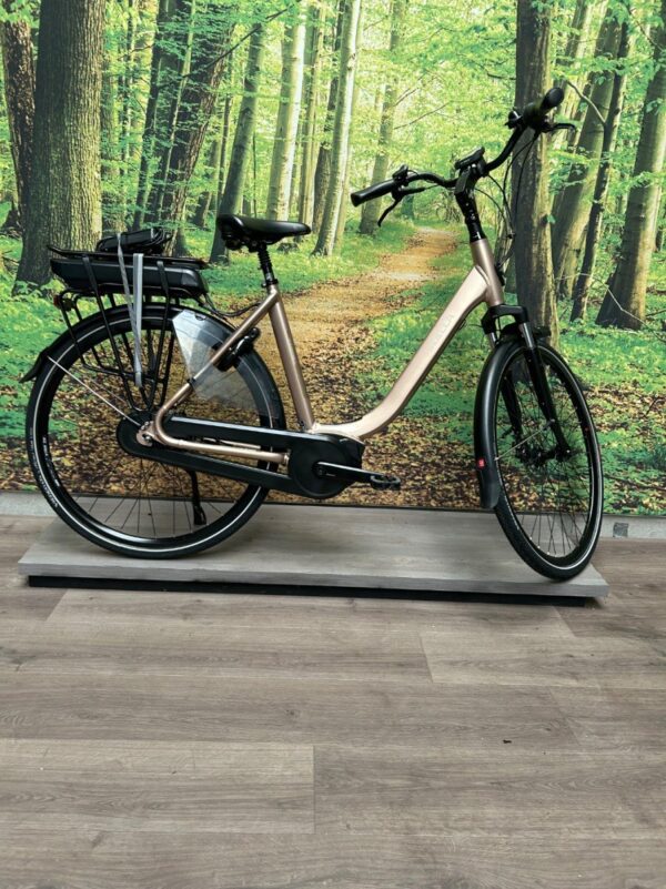 Stella Vicenza HMB 500WH Brons Dames 2023-54 cm