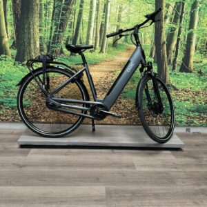 Qwic Urban S7 Mat Grijs Dames 2022-50 cm