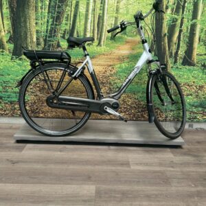 Gazelle Orange C7 HMB 400 WH ACCU Grijs Dames 2018-53 cm