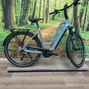 Gazelle Chamonix HMS T10 Mint Dames 2024-53 cm