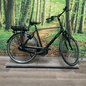 Batavus WAYZ EGO HMB 400 WH Zwart Mat Heren 2021-57 cm