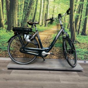 Gazelle Orange C8 Panasonic Zwart Mat Dames 2017-53 cm
