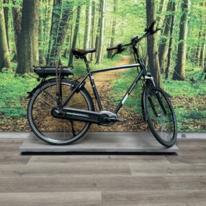 Batavus Milano E-go Zwart Mat Heren 2015-57 cm