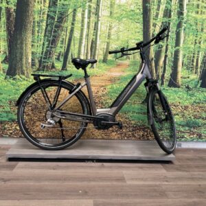 Winora Sinus iX11 Klei Dames 2018-50 cm