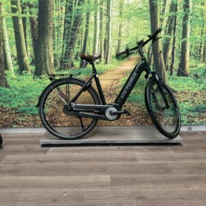 Victoria H4 500WH Accu Zwart Mat / Blauw Dames 2020-54 cm