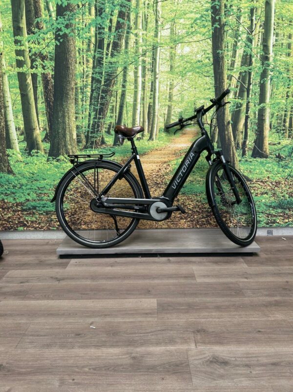 Victoria H4 500WH Accu Zwart Mat / Blauw Dames 2020-54 cm