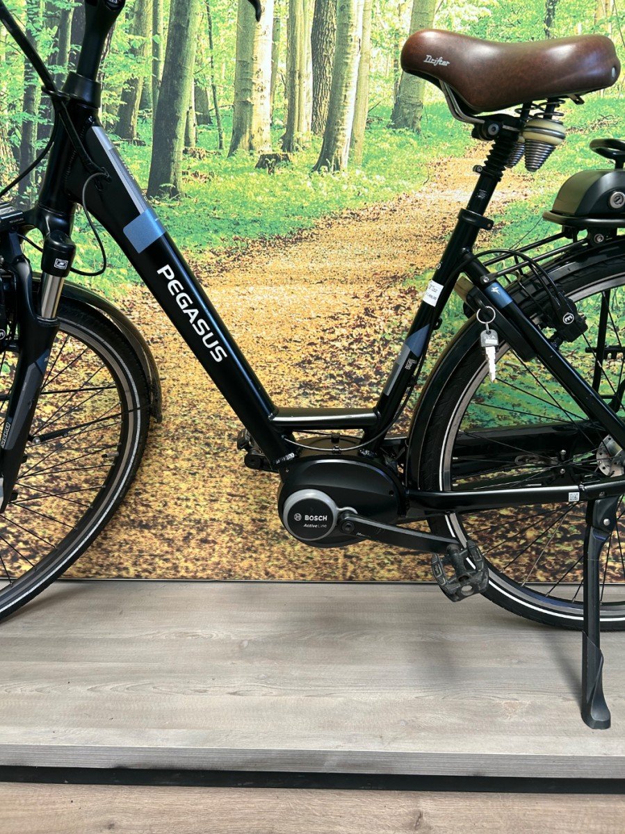 Pegasus Siena E7F Zwart Mat Dames 2020-50 cm - Afbeelding 4