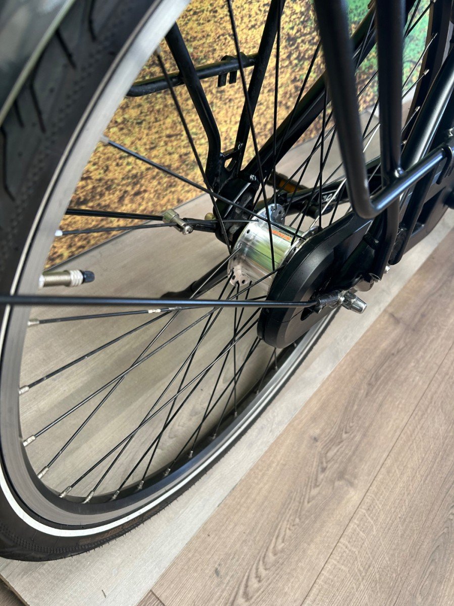 Pegasus Siena E7F Zwart Mat Dames 2020-50 cm - Afbeelding 2