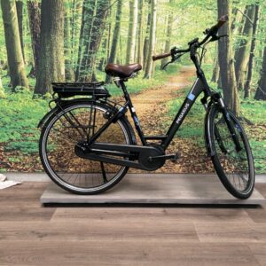 Pegasus Siena E7F Zwart Mat Dames 2020-50 cm