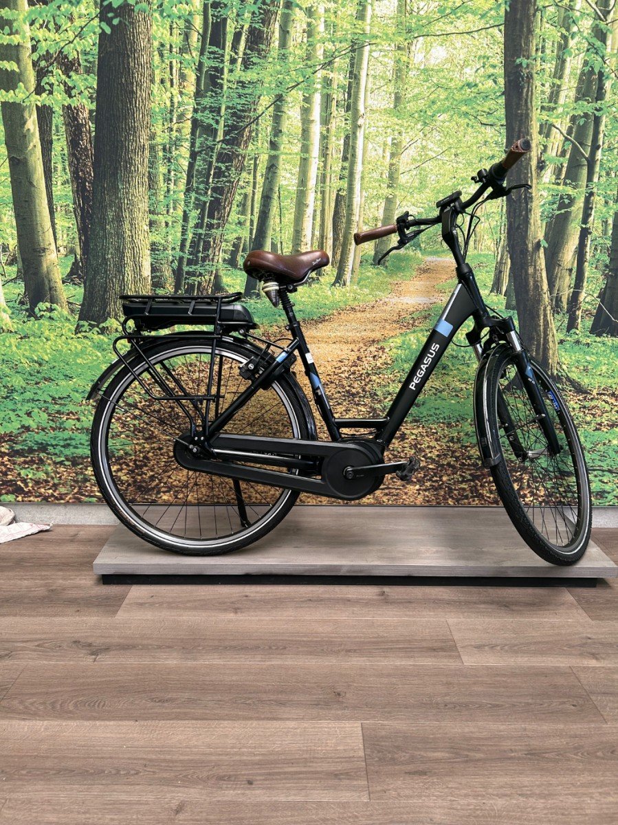 Pegasus Siena E7F Zwart Mat Dames 2020-50 cm