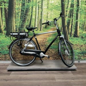 Sparta EMOTION C5 500WH Zwart Heren 2012-57 cm