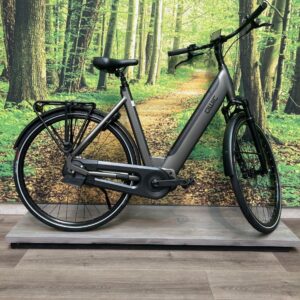 Qwic Premium i AUTO 417WH Grijs Mat Dames 2024-55 cm