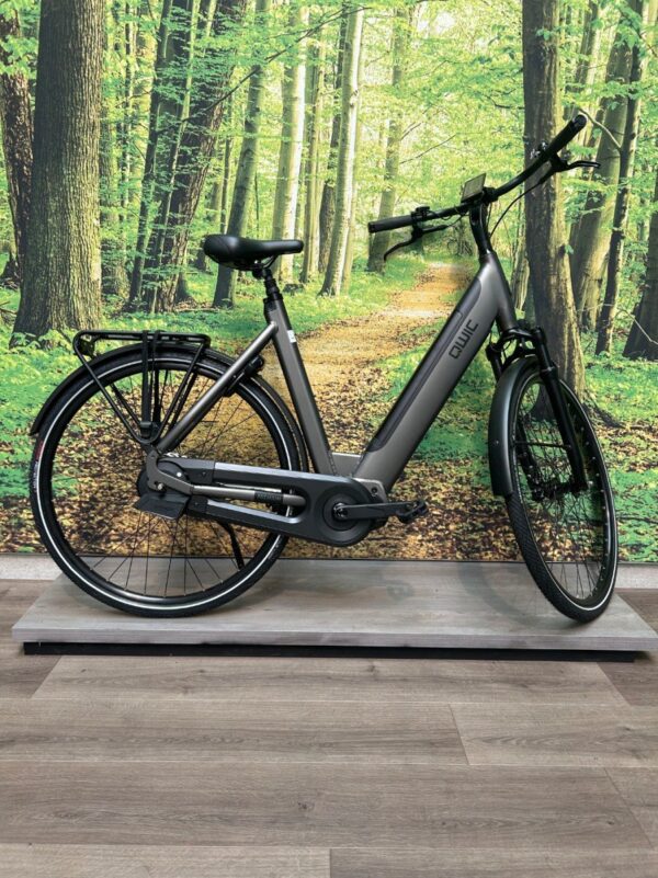 Qwic Premium i AUTO 417WH Grijs Mat Dames 2024-55 cm