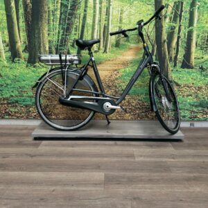 Batavus STACCATO EGO 500WH Blauw Mat Dames 2016-57 cm