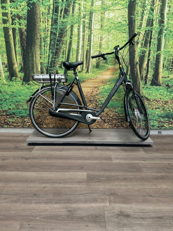 Batavus STACCATO EGO 500WH Blauw Mat Dames 2016-57 cm