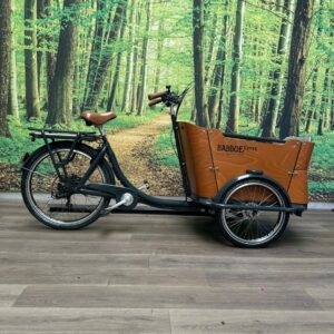 Babboe CURVE-E BAKFIETS MET NIEUWE MOTOR Grijs Dames 2021-50 cm