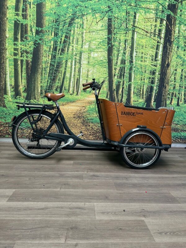 Babboe CURVE-E BAKFIETS MET NIEUWE MOTOR Grijs Dames 2021-50 cm