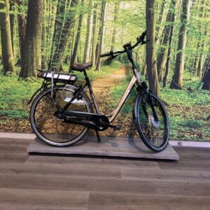 Sparta F7i Ltd 500 WH Accu Bruin / |Zwart Dames 2018-53 cm