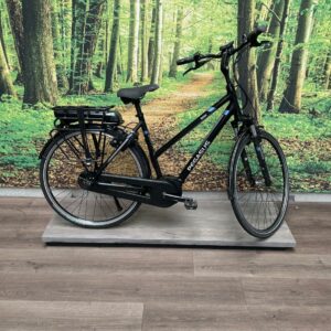 Pegasus Siena E7F 400WH Zwart Mat / Blauw Dames monotube 2019-53 cm