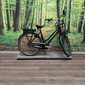 Gazelle Miss Grace HMB 500WH Zwart Dames 2021-54 cm