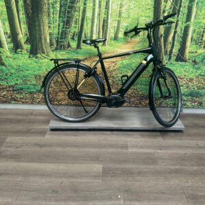 Pegasus Tecaro Evo Nu-E Gates Belt Zwart Mat Heren 2018-58 cm