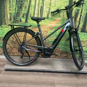 Pegasus Tecaro E10 Grijs Mixed 2021-55 cm