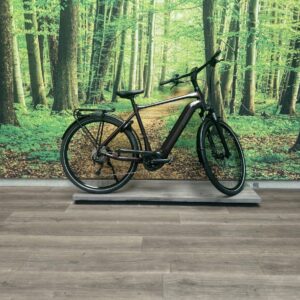 Giant AnyTour E+ Aubergine Heren 2020-L