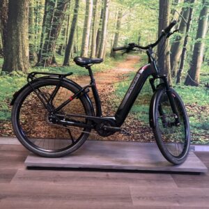 Flyer Gotour 6.0 Entraciet Dames 2021-S