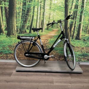 Multicycle EXPRESSIVE-E DEMO KORTING Zwart / Grijs Dames 2021-53 cm