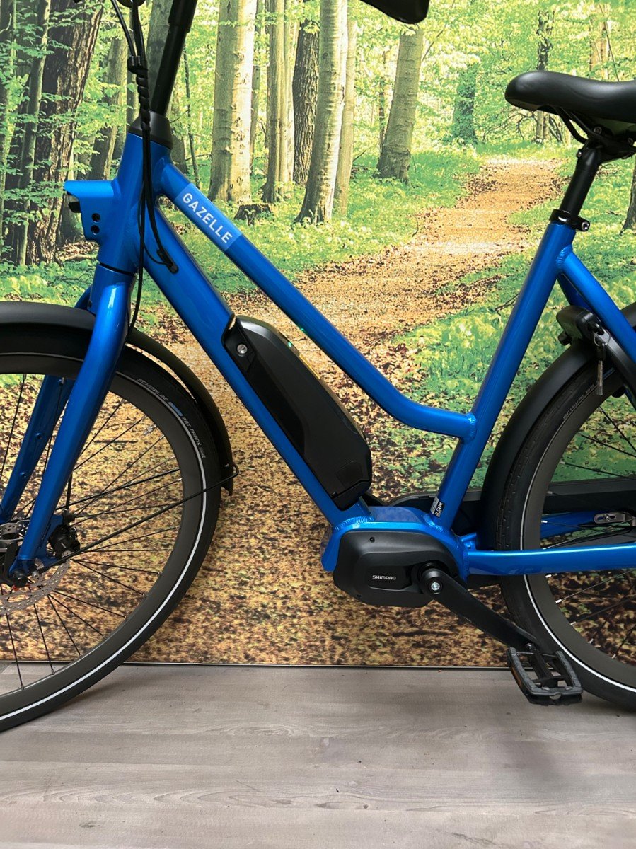 Gazelle Esprit HMS Test e-bi Blauw Dames 2026-53 cm - Afbeelding 4