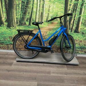 Gazelle Esprit HMS Test e-bi Blauw Dames 2026-53 cm