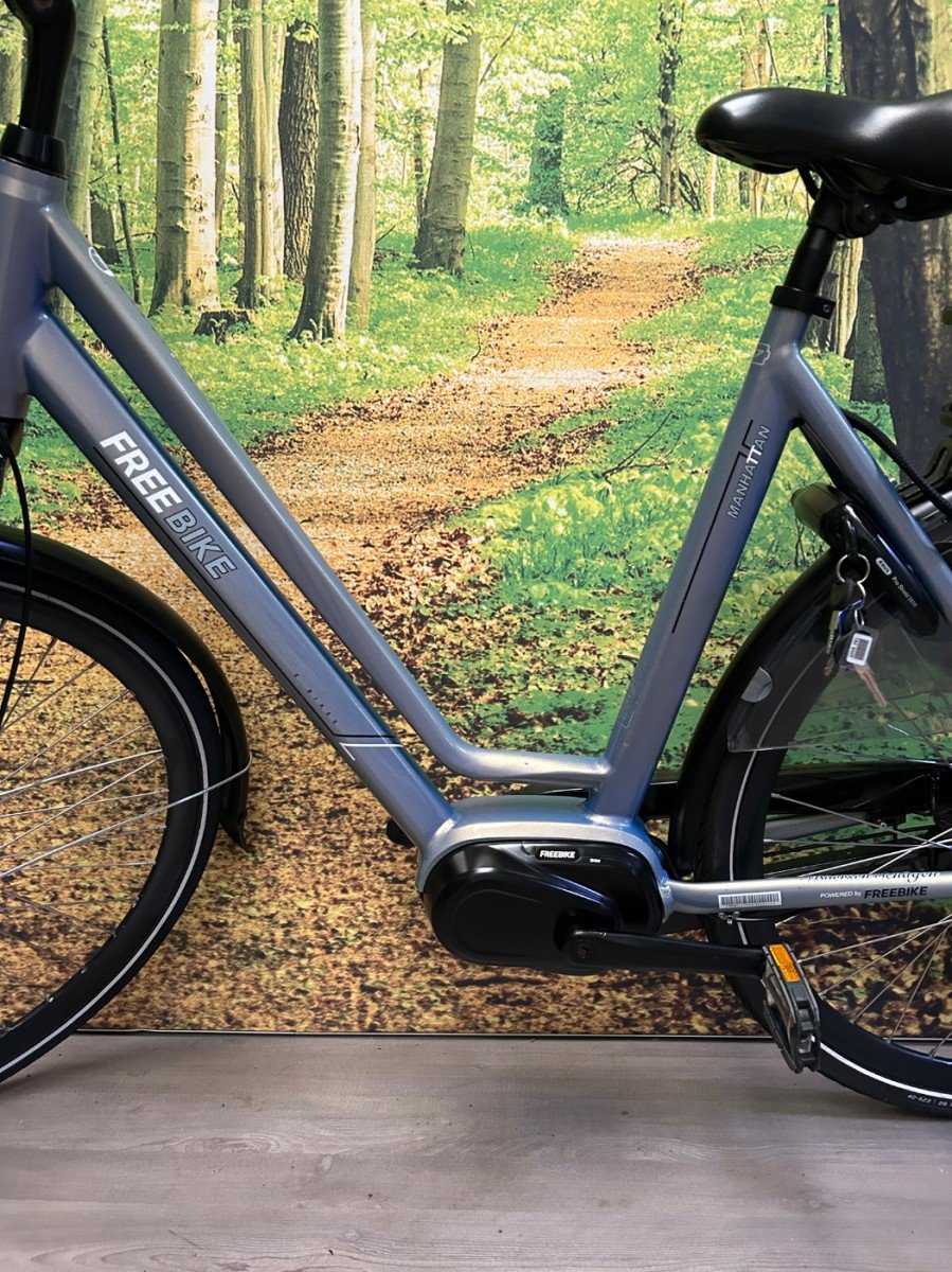 Freebike Manhattan grijs Mat Grijs Dames 2021-53 cm - Afbeelding 4