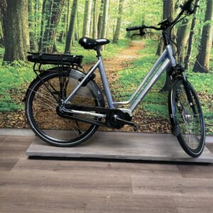 Freebike Manhattan grijs Mat Grijs Dames 2021-53 cm