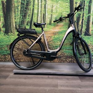 Ebike Das Original E-Bikez Zwart / Brons Dames 2022-53 cm