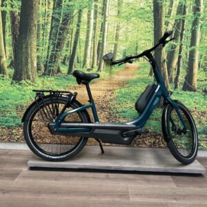 Gazelle Easyflow C7 504 WH Accu Pine Green Glans 2026-46 cm